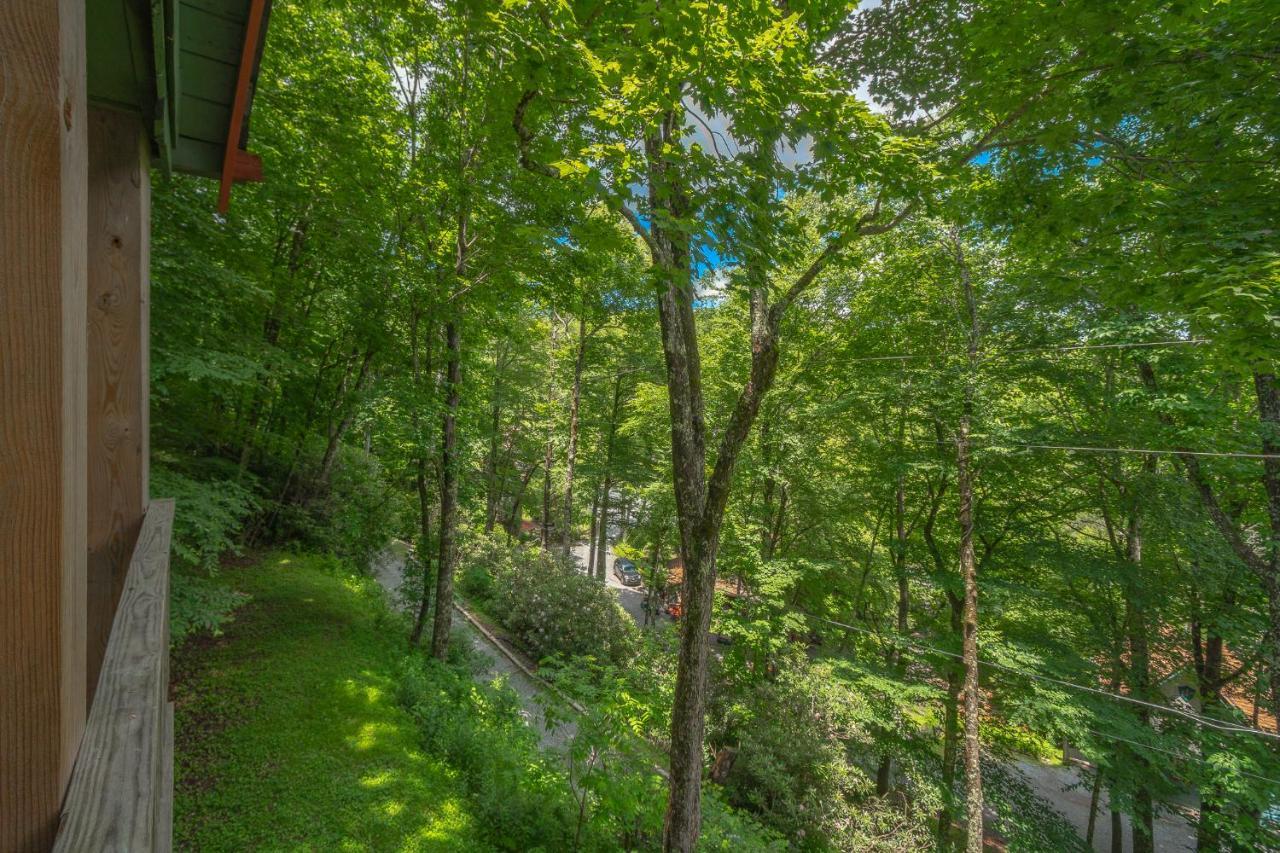 Swiss Mountain Village ブローイング・ロック エクステリア 写真